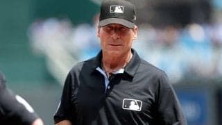 “悪名高き”62歳の名物審判が電撃引退　シーズン中に異例、米報道「最悪と見なされていた」