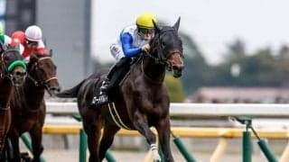【鳴尾記念予想オッズ】ロードデルレイが予想1番人気