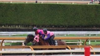 ラムジェット、東京ダービー追い切り速報/栗東トレセンニュース
