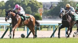 【葵S】ピューロマジックがロケットスタートを決めて逃げ切り