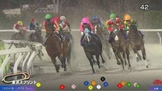 大井競馬でトラッキングシステムの運用開始 東京ダービーからスタート