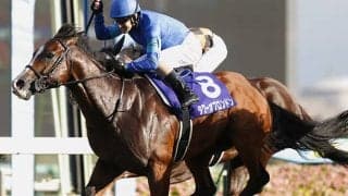 新種牡馬タワーオブロンドン産駒が初勝利 9馬身差Vの鮮烈デビュー