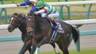 開幕週にも新種牡馬の産駒続々 サートゥルナーリア産駒には良血馬も