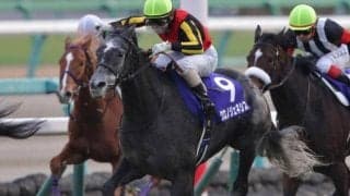 JRA勝ち上がり率80％超！ ノーザンファーム産のバゴ産駒が今年も魅せる