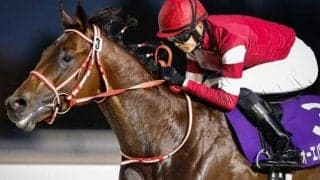 ウマ娘・藤田晋オーナーの1億3000万円馬 現3歳世代の活躍に続いてデビューVを飾るか