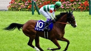 【安田記念】ナミュールはプラス10キロ…出走馬の調教後の馬体重