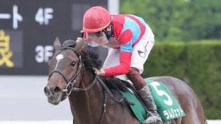 【東京ダービー】ラムジェットなどJRA4頭