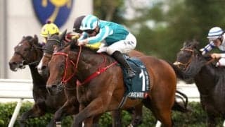 安田記念参戦の香港中距離界“最強戦士” G1・7勝を誇るそのストロングポイントを深堀り