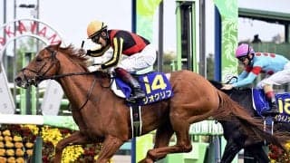 大混戦の安田記念 穴党記者の期待は「最強世代」のＧＩ馬２頭が見せる復活劇