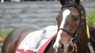 安田記念当日の東京は雨予報 「重馬場4戦4勝」と注目の道悪巧者は？