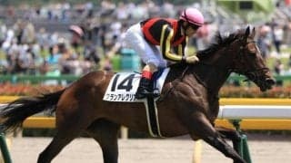 開幕週デビュー馬には未来のスターホースが眠っている!? 今年の注目馬は…