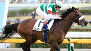 ルメール騎手は6年連続馬券圏内の「安田記念男」 パラレルヴィジョンで好配呼ぶか