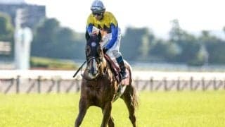 【鳴尾記念予想】幅広い世代が活躍する一戦！ 年齢によって狙い目が変わる点に注意