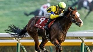 昨年のアルゼンチン共和国杯覇者ゼッフィーロが抹消 今後は乗馬に