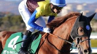 京都芝内回りは内ベターか モレイラ騎手のボッケリーニに期待