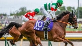 安田記念でナミュールとリベンジへ 今週の武豊騎手は土曜京都7鞍→日曜東京4鞍