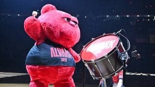 アルバルク東京のルークが『マスコットオブザイヤー』受賞…決選投票を制し初選出