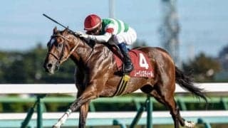 【エプソムC想定馬・騎手】レーベンスティール、ヴェルトライゼンデなど17頭