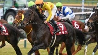 転厩初戦で4年連続重賞制覇達成へ 古豪カラテがルーキー高杉騎手とタッグ