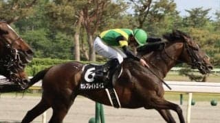 半姉は2歳女王ダノンファンタジー “2億円馬”が1年ぶりの復帰戦