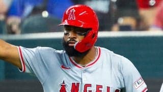 覚醒したはずが…31打数1安打15三振　元超有望株アデルにファン辛辣「身の毛がよだつ」