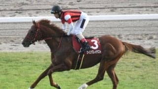 【函館SS想定馬・騎手】ウイングレイテスト、サウザンサニーなど23頭