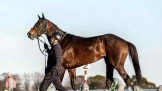【今日の注目ポイント】京都で鳴尾記念 東西で2歳新馬戦がスタート