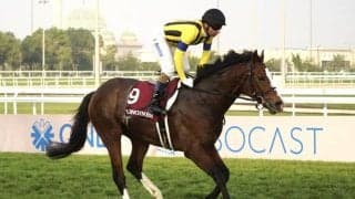 ゼッフィーロの競走馬登録抹消…アルゼンチン共和国杯V