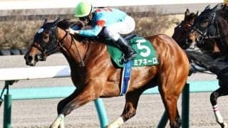 きょうだいのデビュー戦成績はオール馬券圏内 セレクト2億円馬が姉たちに続くか