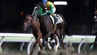 最高配当は2億超！トリプル馬単の発売開始から10年 払い戻しベスト3は？