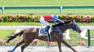 東京6Rは3連単586万超えの大波乱に 単勝145.5倍の伏兵が2馬身差完勝