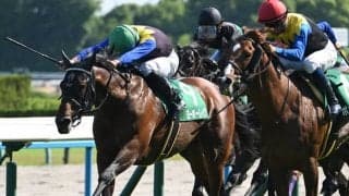 【鳴尾記念結果】ヨーホーレイクが接戦制す 約2年5か月ぶりの重賞V