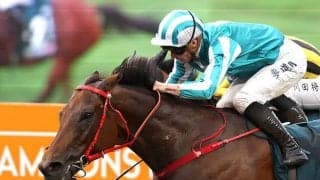 【安田記念前日オッズ】ロマンチックウォリアーが4.1倍で1番人気