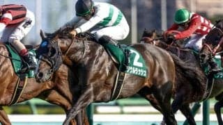 【AI予想・安田記念】近年は高速決着が目立つ最強マイラー決定戦！ 頼もしい鞍上と共に目指すは待望のGI初制覇