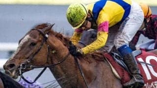 安田記念は道悪かも 上がりがかかってコレペティトールが波乱呼ぶ