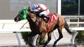 【高知・丸山台特別】ナムラスワガーが準重賞初勝利…多田羅「逃げれて良かった」