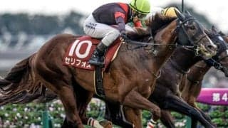 【安田記念予想】人気順・枠・騎手の傾向は 過去データで狙う安田記念