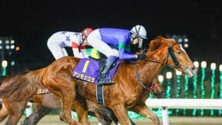 【大井・東京ダービー枠順】1着賞金1億円を争う砂の3歳王者決定戦 羽田盃2着アンモシエラは4枠7番