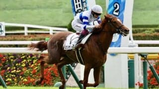 【新馬/東京5R】ミリオンローズが抜け出す…スワーヴリチャード産駒