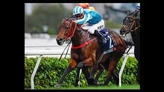 【安田記念】香港のロマンチックウォリアーがV！ GI・5連勝＆8勝目！