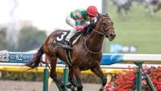 【JRA・WIN5】本日のWIN5は的中64票、配当720万5510円