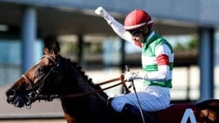 【エプソムC】レーベンスティール、ヴェルトライゼンデらが登録