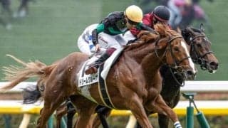 横山武史騎手がJRA通算600勝達成！ 「関係者の皆様といつも頑張ってくれている馬に感謝」