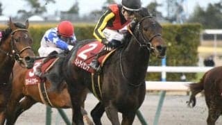エプソムCと函館SS 大井では東京ダービー/今週の競馬界の見どころ