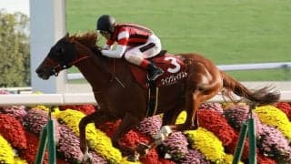 【函館SS登録馬】ウイングレイテストなど23頭