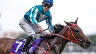 【安田記念】売上は200億1905万6900円で昨年より約23億円減少