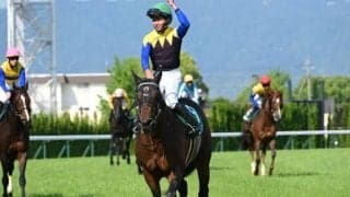 【鳴尾記念】売上は24億7096万2200円で昨年より約23億円減少 1番人気が発走直前で除外に