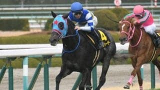 【函館SS見どころ】前走の経験値が生きるビッグシーザーの重賞初制覇に期待