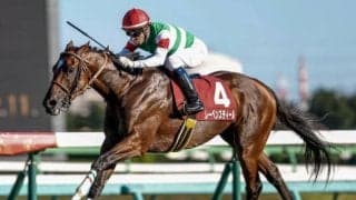 【エプソムC見どころ】実績上位のレーベンスティールが巻き返す