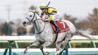 【先週のJRA抹消馬】国内外で重賞Vのシルヴァーソニック、無敗三冠馬の全弟サンセットクラウドなど